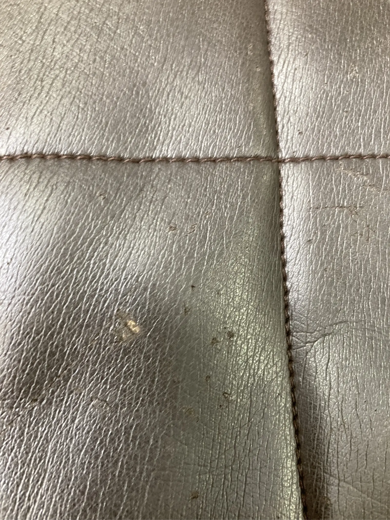 https://r2-worker.digdig.jp/product/d5029da3-572f-4337-8370-10141b20f42e/f30c817a-5851-4780-afb6-37e3268995b5