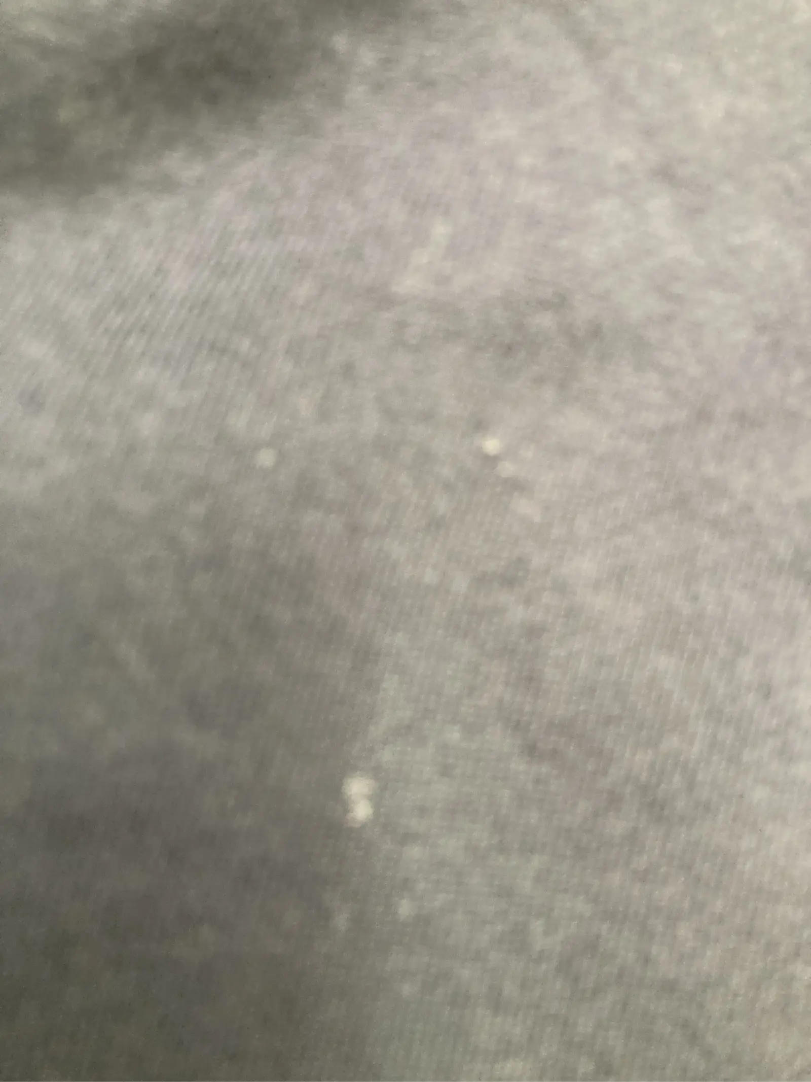 https://r2-worker.digdig.jp/product/d8137498-f609-49e6-95fd-8ac5649ff56b/2fb40d31-de22-44d7-b097-f35b03736c23