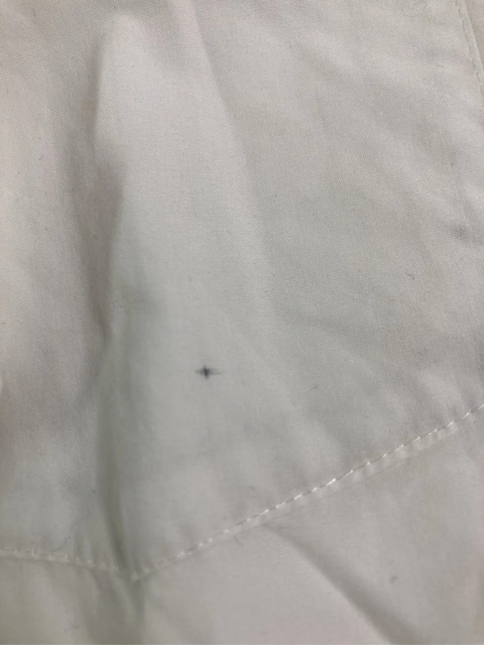 https://r2-worker.digdig.jp/product/d91dd3d8-a68f-4c81-8793-bb270f84b489/02537809-0037-4767-a741-24627effe179