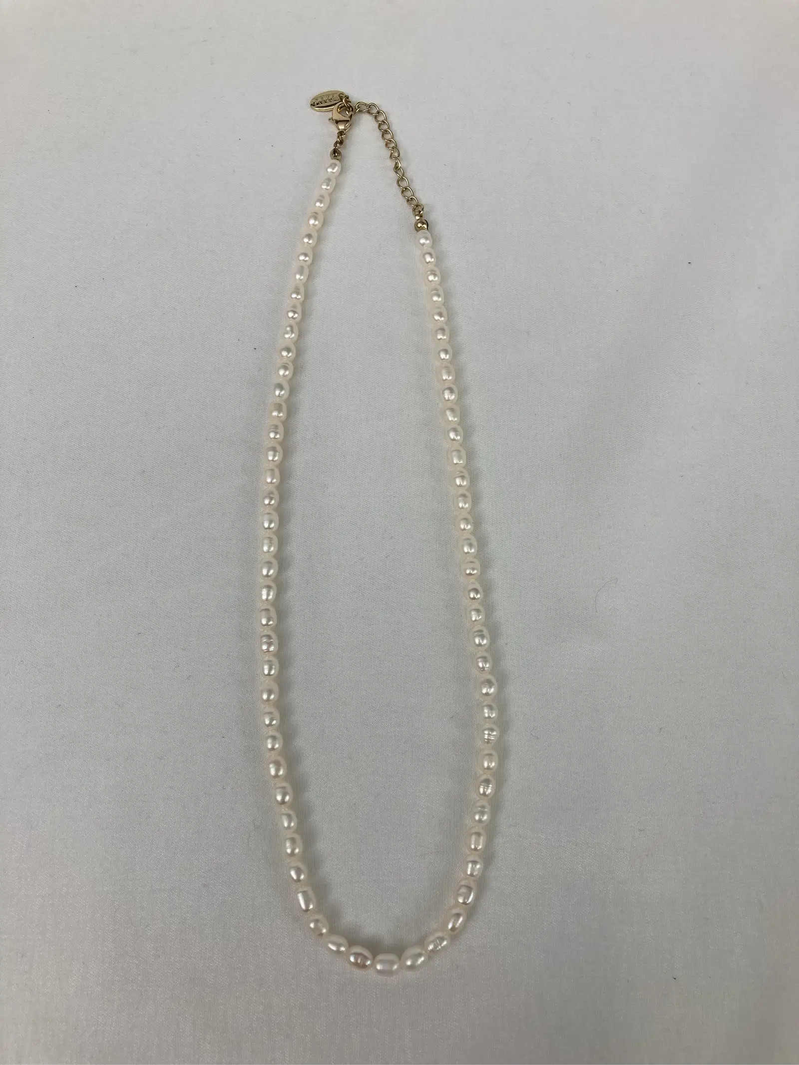 https://r2-worker.digdig.jp/product/de68de64-32ac-475d-afa7-bf639988d9eb/c5fcfde7-689e-452b-9a8e-4c0eecbe6370