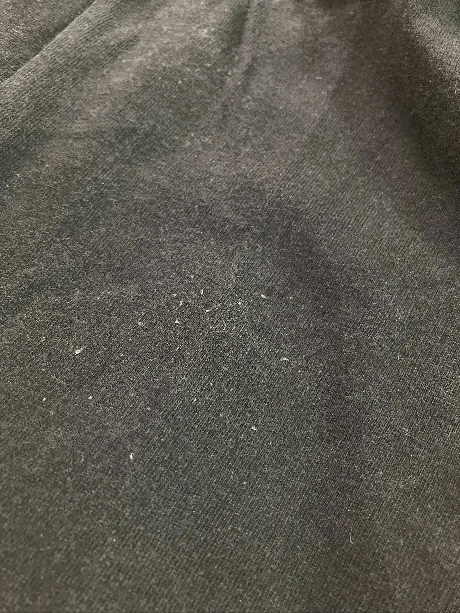 https://r2-worker.digdig.jp/product/df888036-0779-4d2f-8225-b86cd0fbb78a/d0ac5393-14cf-47c8-be6d-82585b3396c4