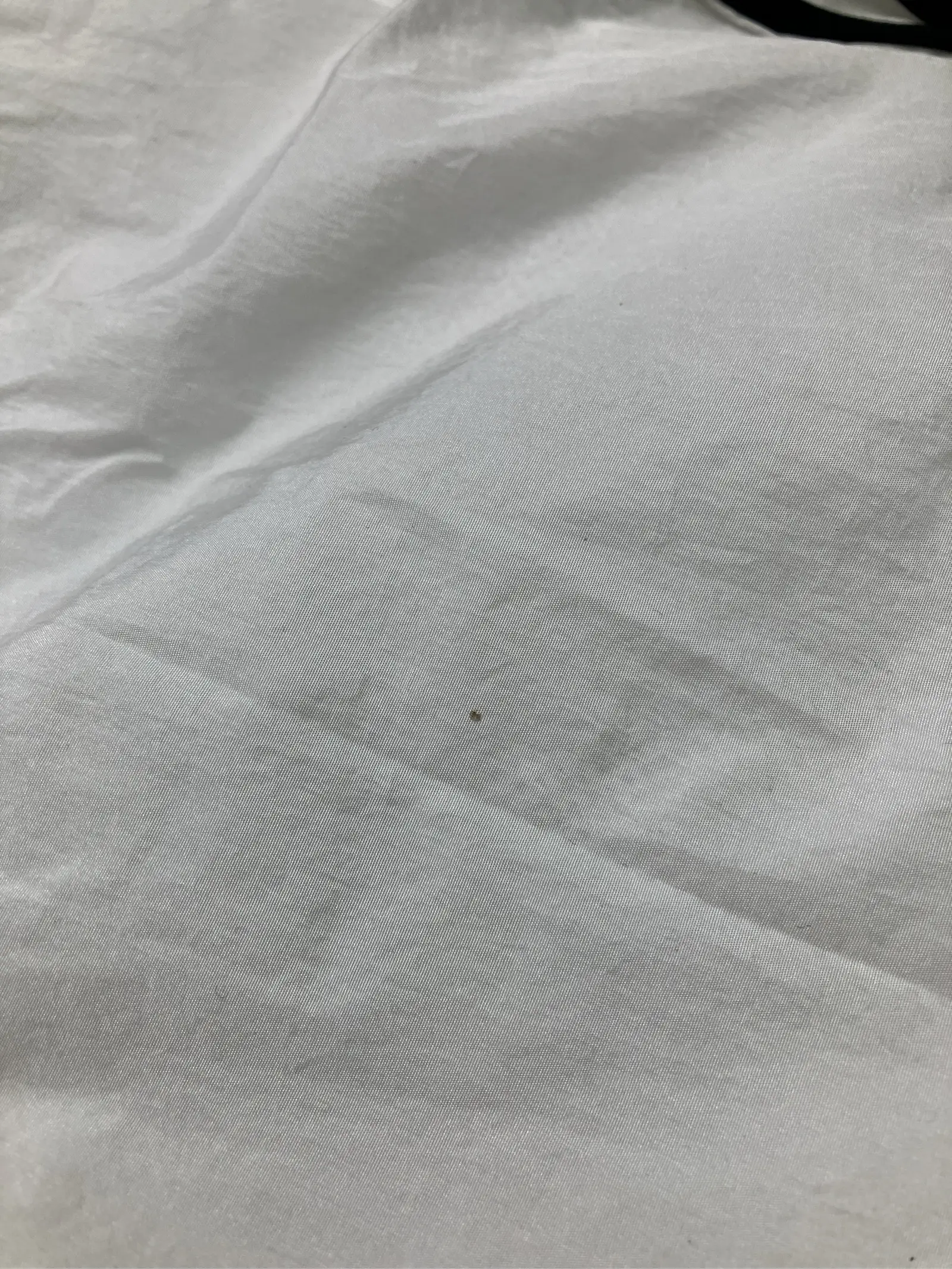 https://r2-worker.digdig.jp/product/e1695f19-e85c-436c-a917-567dcd762762/e625d3b5-7a68-4060-abc4-c55fbafae526
