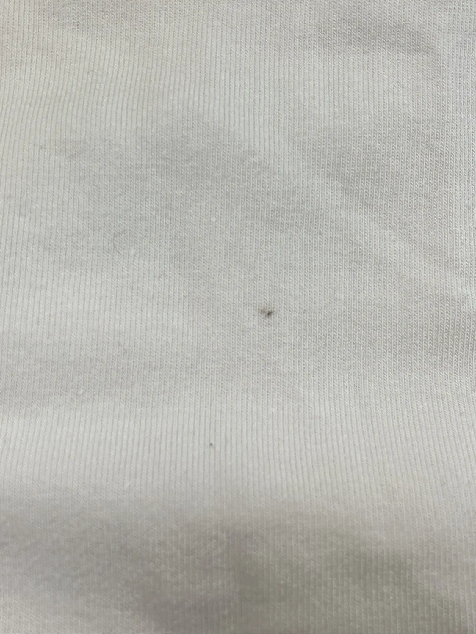 https://r2-worker.digdig.jp/product/e3276536-d4db-4c99-9221-e04313635cbe/6be1bbb5-3f42-49ff-a404-6da0b3dc2b8a