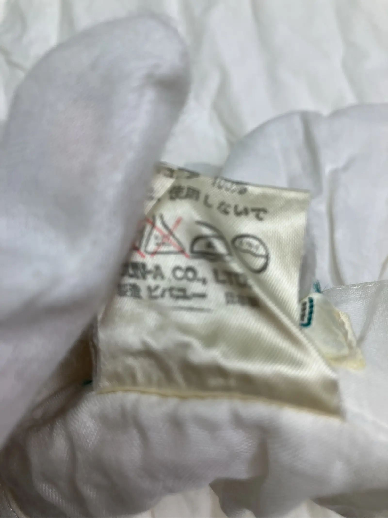 https://r2-worker.digdig.jp/product/e8290d3f-ebc6-496f-a8fc-a70a61fe50e3/554e6516-32c2-46bc-8a70-93afb9dcfd25