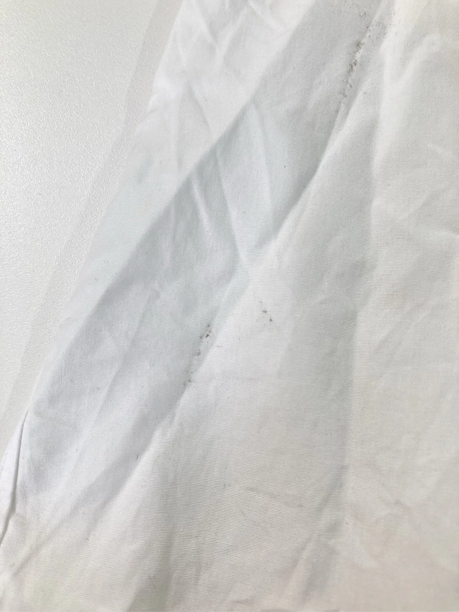 https://r2-worker.digdig.jp/product/e9999c0e-cbe4-4226-9d75-e9bc0586940d/712d122b-7b18-40da-bbf8-3c96ddab6ad4