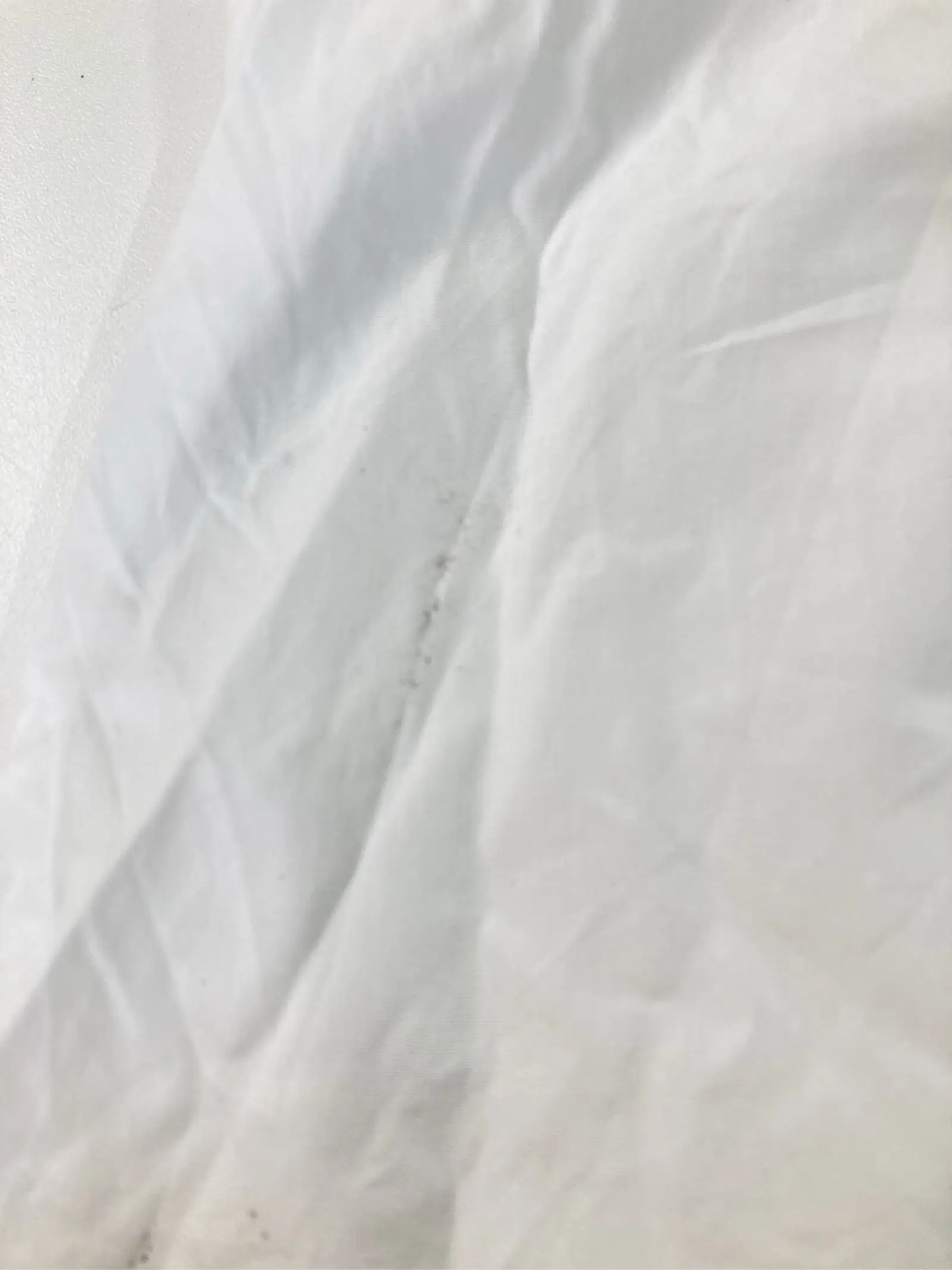 https://r2-worker.digdig.jp/product/e9999c0e-cbe4-4226-9d75-e9bc0586940d/c9052ba4-6ca5-4cfc-8b88-a3f8bc39d3f3