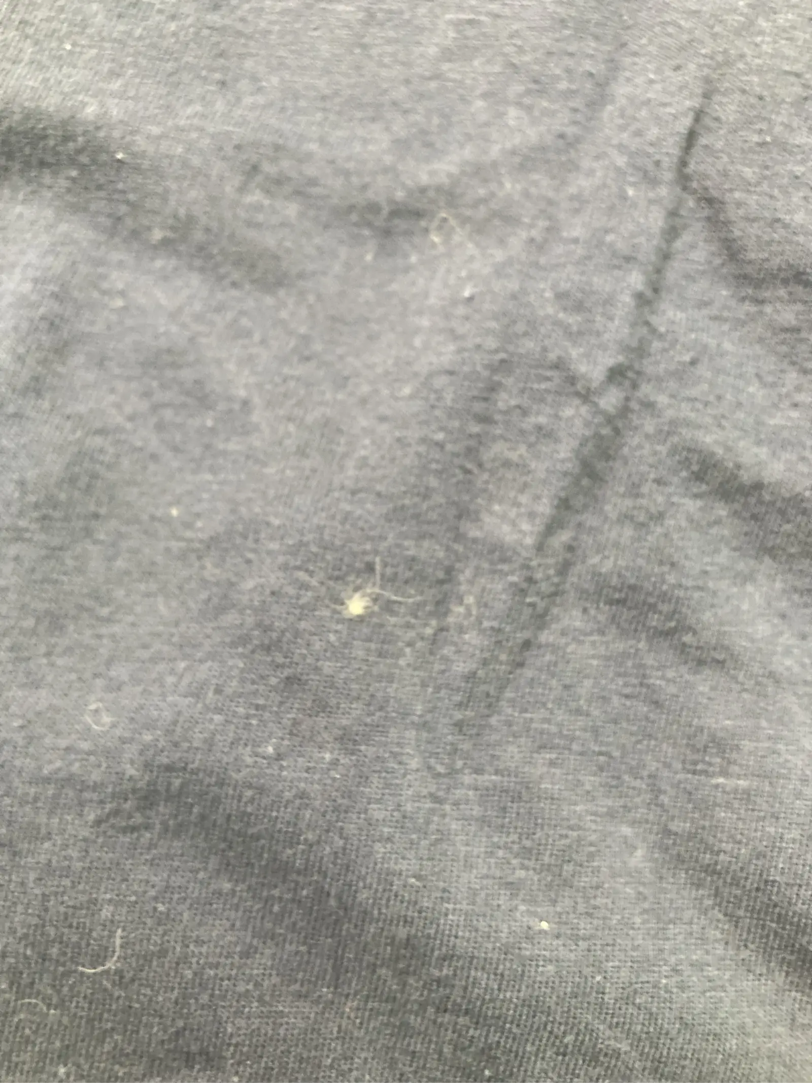 https://r2-worker.digdig.jp/product/ec0508ad-cf52-482e-9581-9be932feb278/3a314d99-720d-43f9-82ed-c9226b9b2f27