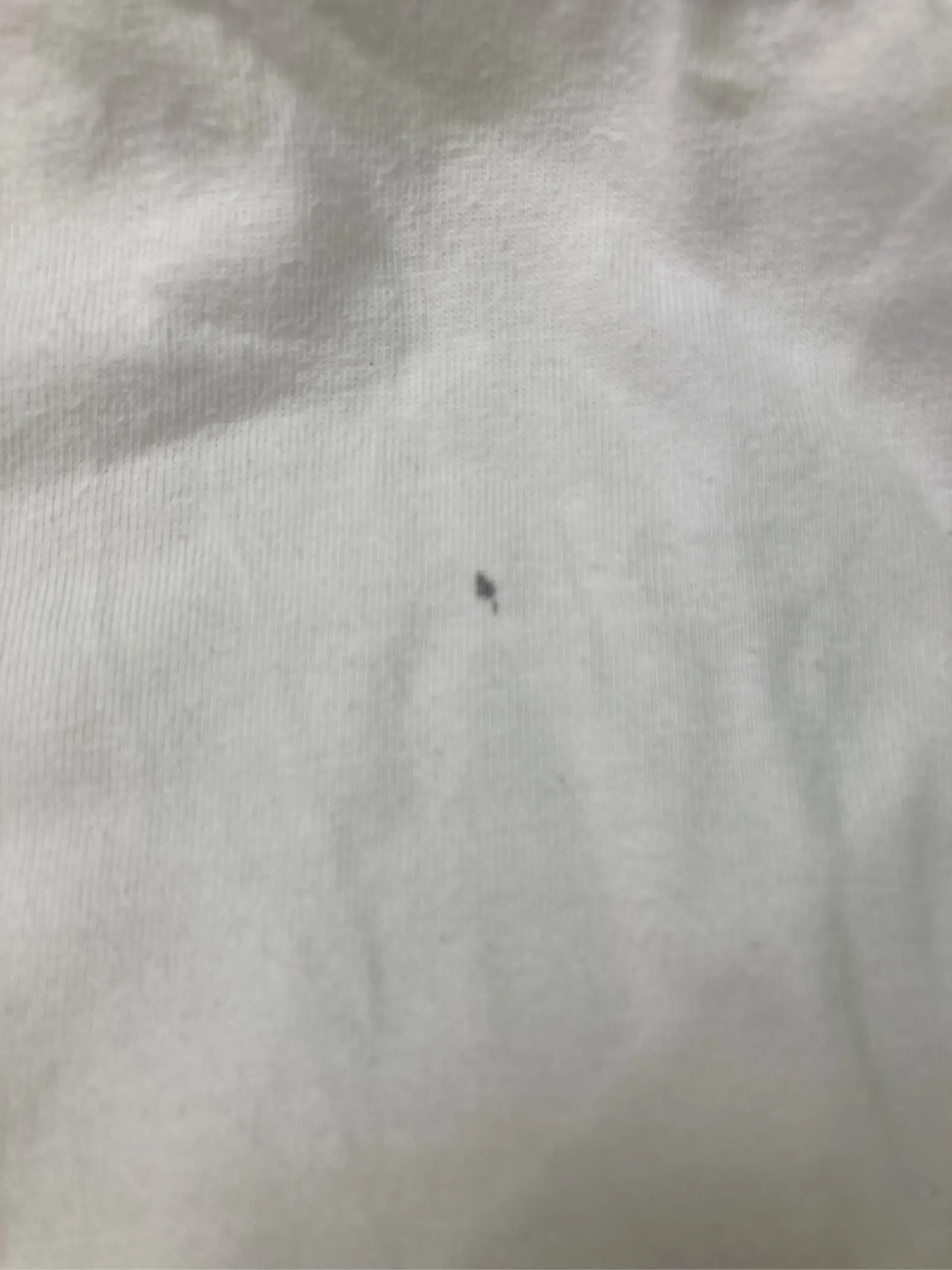 https://r2-worker.digdig.jp/product/ee9554bf-c4ca-435d-bd2f-38c3a7798f36/1794b356-892c-4573-a298-9dbbaf54af90