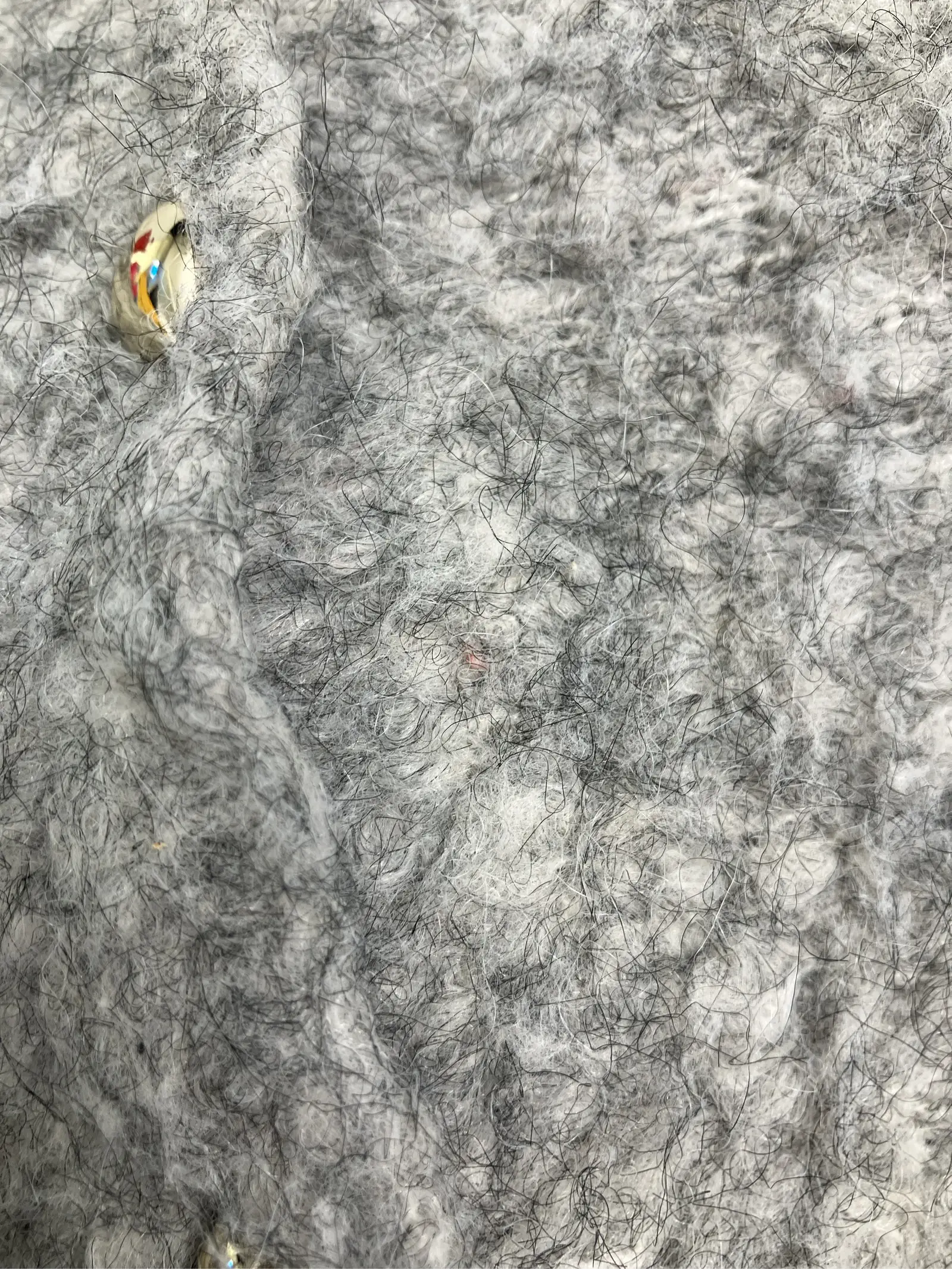 https://r2-worker.digdig.jp/product/f1d98958-1172-4a30-86e8-588d96096cc4/453c32b6-644f-43ec-bbcd-6293c947c81e