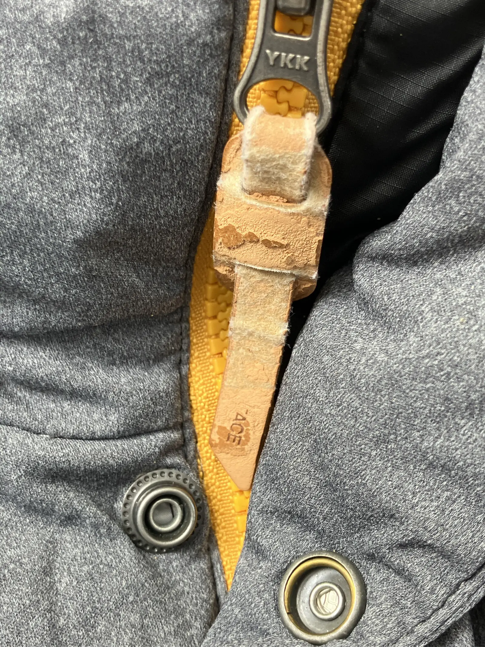 https://r2-worker.digdig.jp/product/f77b0526-5478-49ab-9601-aef30f90b0e1/d5660b75-7ced-44f6-a8c3-1e44d3f4caac