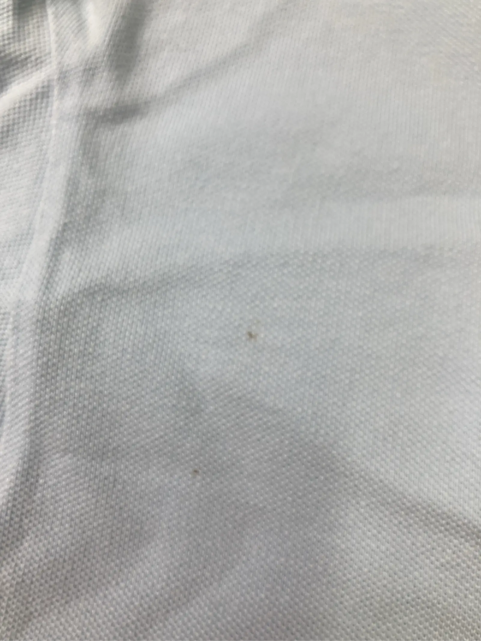 https://r2-worker.digdig.jp/product/fbc8050e-e211-4ea6-b2ca-8d0c7c5ef575/19e8badb-e231-4e67-a9d9-4243091b6513