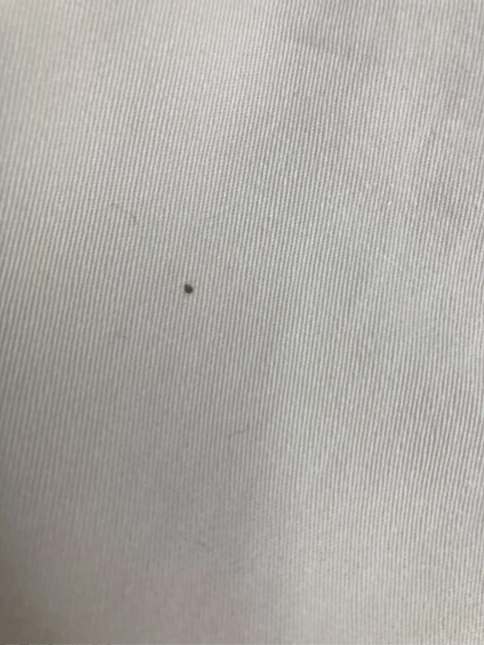 https://r2-worker.digdig.jp/product/fd2ef312-be73-4d6c-ab36-3103806854b6/ac713991-6208-4bbe-9c2d-23ccdf93e560