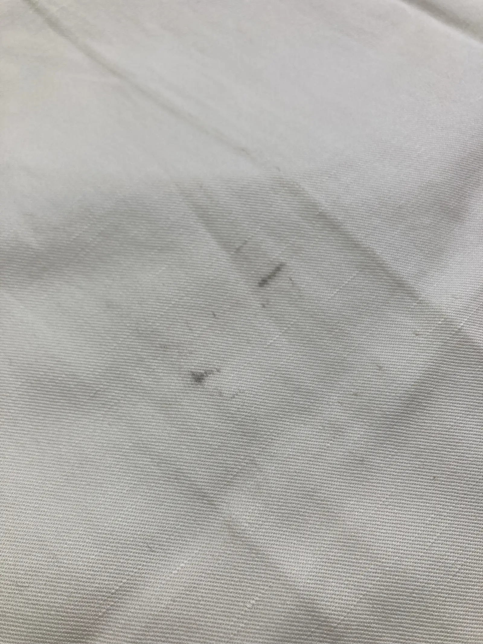 https://r2-worker.digdig.jp/product/fe639f7a-ce4f-4e33-8bb6-f626cb492100/88f3cc78-fa0c-4876-a2d3-de772bd94809